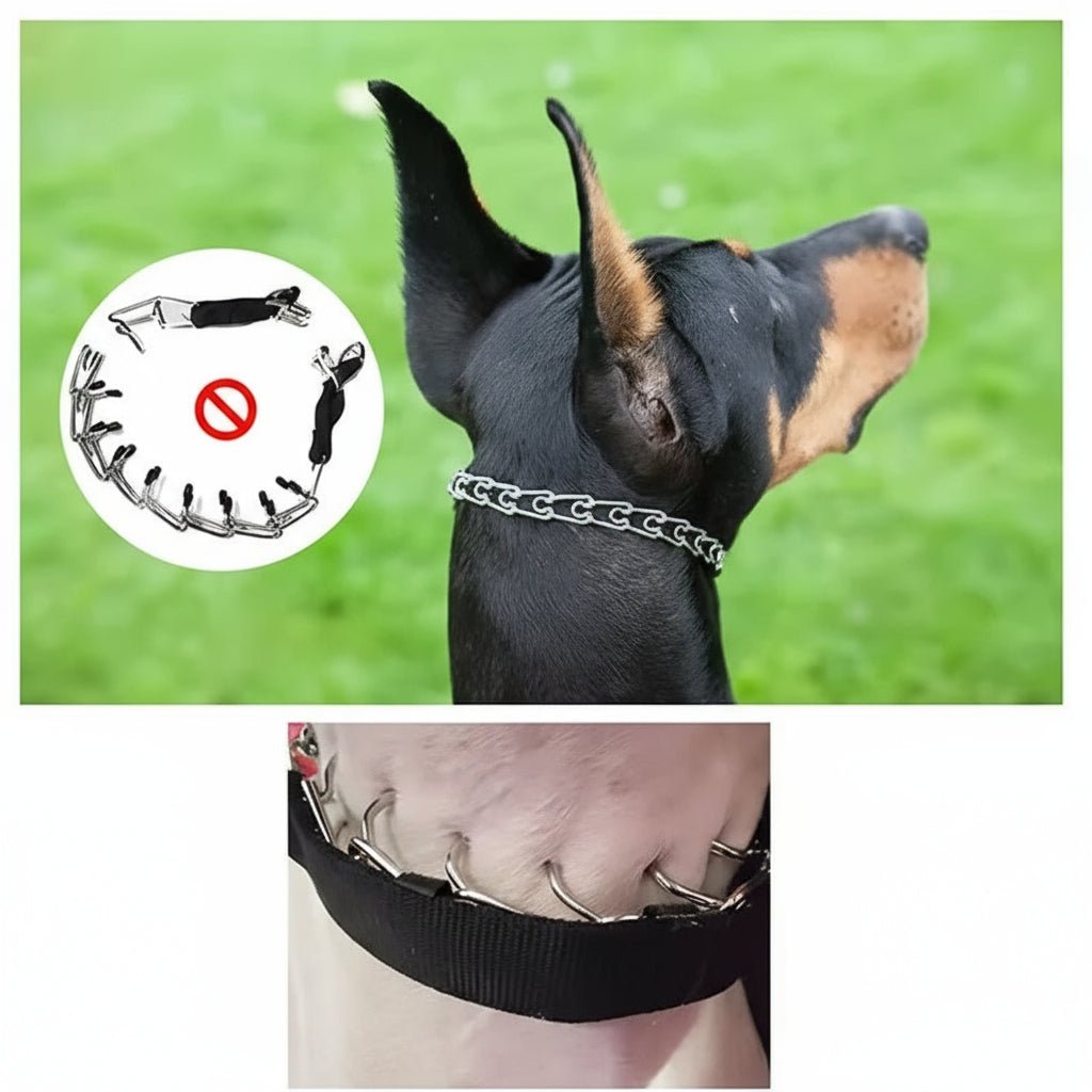 CONTROLORA – Collar de adiestramiento para mejor guía y paseos diarios
