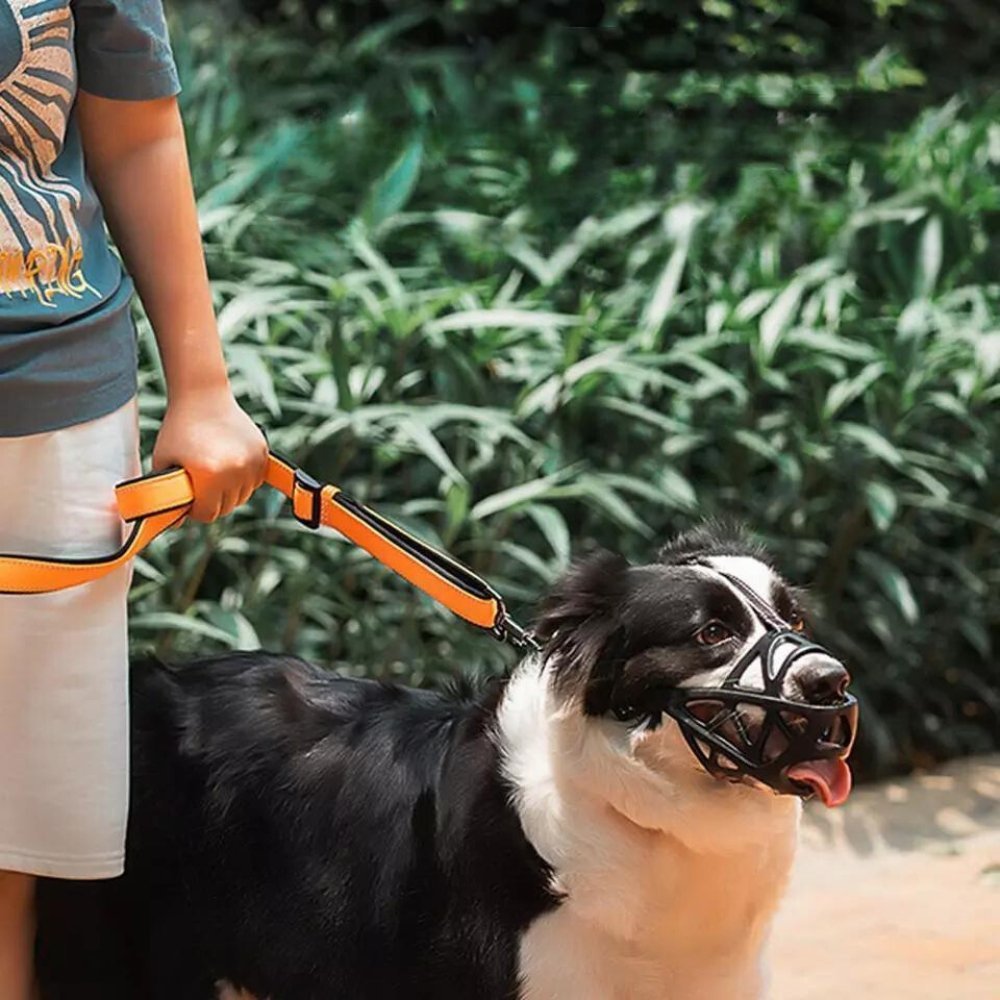 DOGORA – Bozal seguro y suave para perros