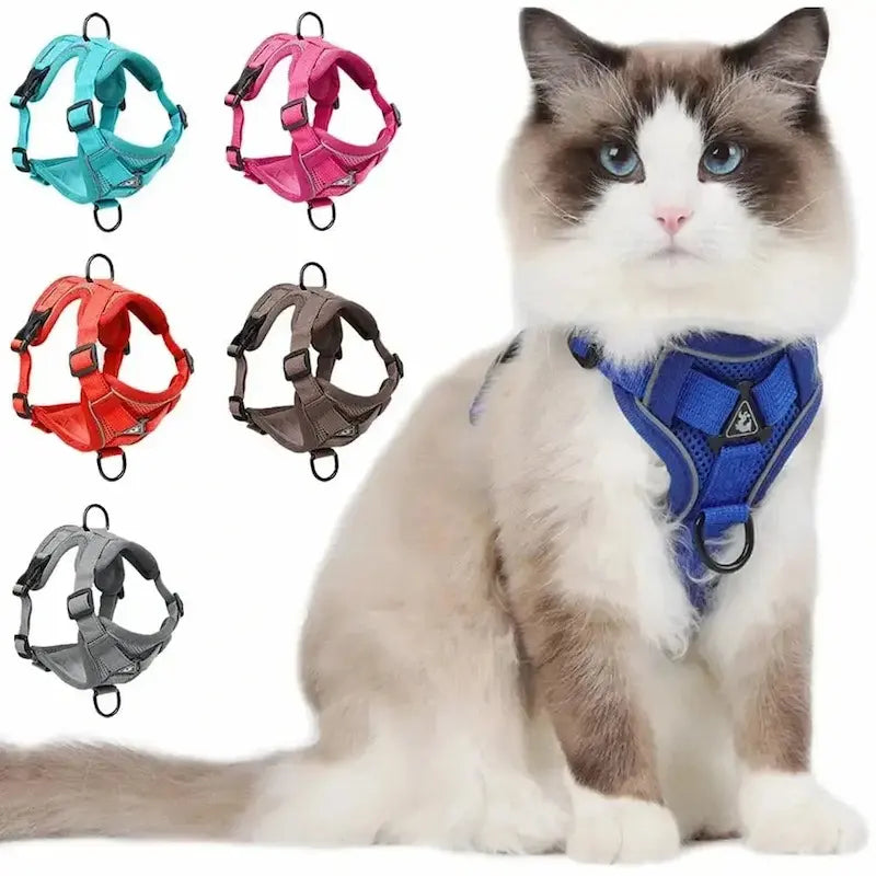 CATSECURE – Y-Shaped Cat Harness