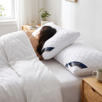 ITERPUB::cold-rigoulous-8844978094215::02-inuse