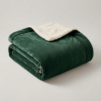 ITERPUB::cold-rigoulous-8829112516743::09-variant-dark-green
