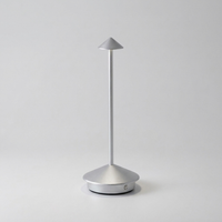 ITERPUB::cold-rigoulous-8835806396551::09-variant-silver