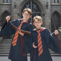 WIZARDCRAFT – Complete Wizard Costume Accessory Set