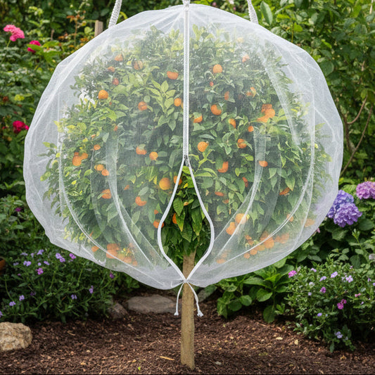 HARVESTNET - Drawstring mesh bags for breathable fruit tree protection