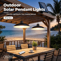 STABLEGLOW – Dual Head Solar Pendant Lamp