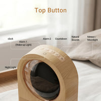 DAWNLUME – Sunrise Light and White Noise Machine for Restful Sleep