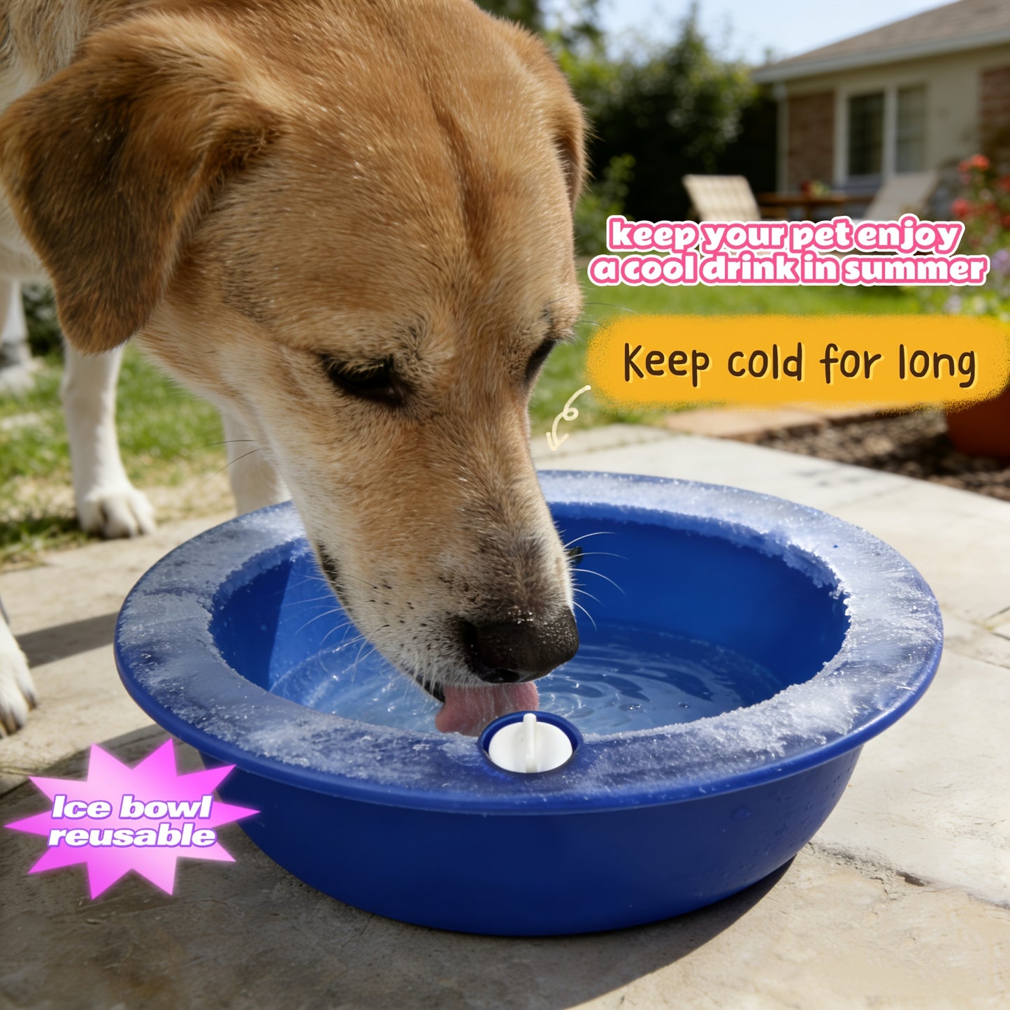 PETGLACIER – Refreshing Cooling Bowl for Everyday Pet Hydra