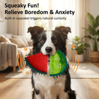FROSTPAW – Frozen Puzzle Dog Toys