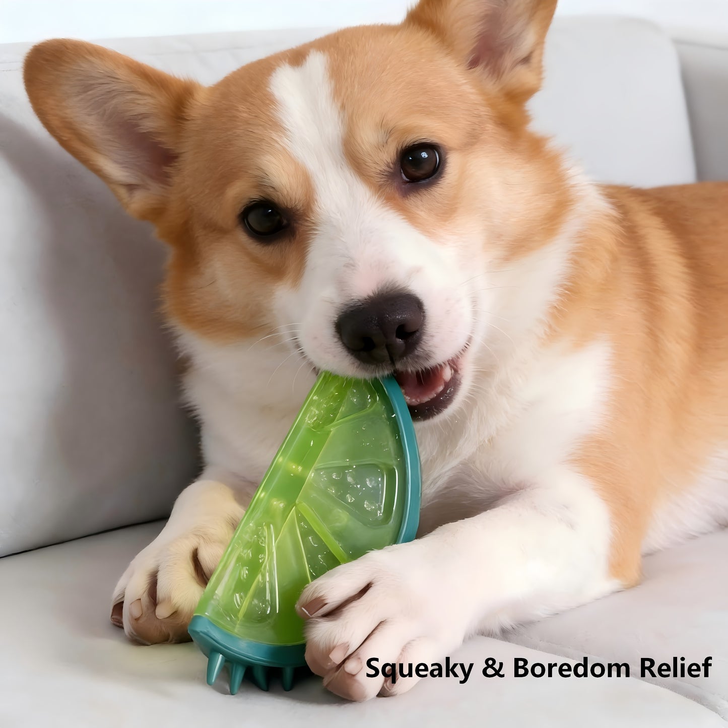 FROSTPAW – Frozen Puzzle Dog Toys