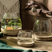 ZENORA – Glass Vase for Statement Greenery and Serene Interiors