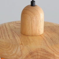 GOURDHALO – Disc Pendant Light for Warm Decorative Glow