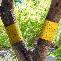 Bugstrip - Outdoor Sticky Insect Barrier Tape for Plants Protection, Weather-Resistant, Easy Application 0