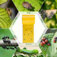 Bugstrip - Outdoor Sticky Insect Barrier Tape for Plants Protection, Weather-Resistant, Easy Application 4