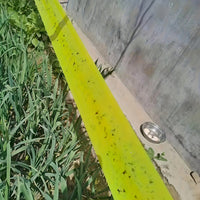 Bugstrip - Outdoor Sticky Insect Barrier Tape for Plants Protection, Weather-Resistant, Easy Application 5
