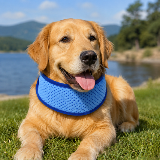 COOLPAWS – Adjustable Pet Cooling Scarf