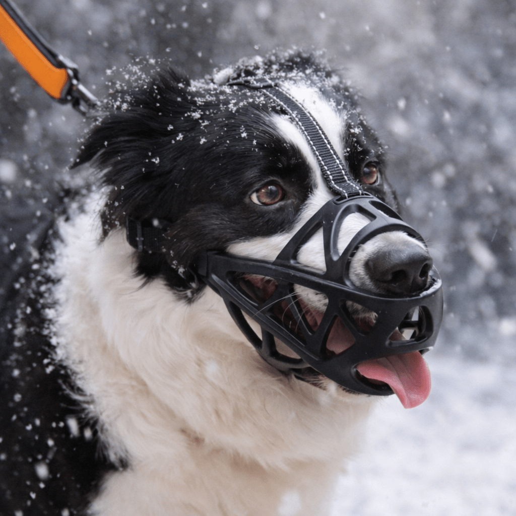 DOGORA – Gentle Safety Dog Muzzle