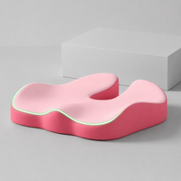 SEATRELIEF – Cojín de Asiento Ergonómico con Soporte