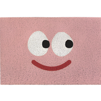 CHEERLORA – Playful Door Mat for a Clean and Inviting Welcome