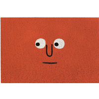 CHEERLORA – Playful Door Mat for a Clean and Inviting Welcome