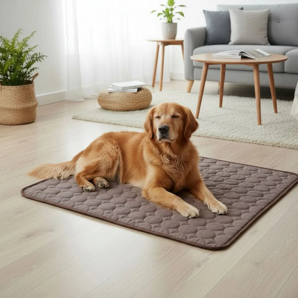 COOLPAWS – Extra Large Cooling Pet Bed for Dogs & Cats