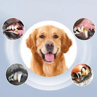 SMILEFLOW – Pet Teeth Cleaning Device for Healthy Oral Hygiene