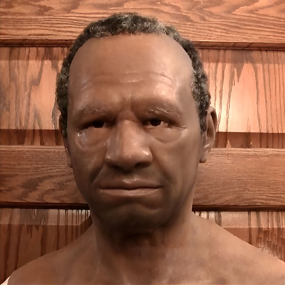 DISGUISELIVA – Detailed Costume Mask for Immersive Roleplay Fun