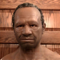 DISGUISELIVA – Detailed Costume Mask for Immersive Roleplay Fun