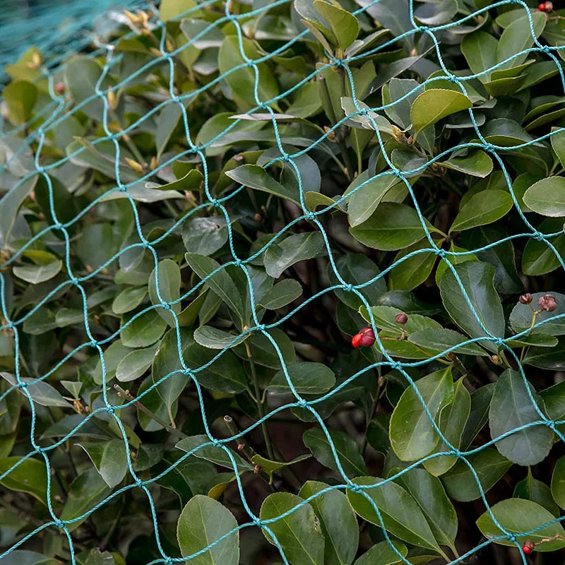 AURALIVA – Durable Garden Netting for Plant & Orchard Safety