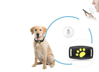 FELINEFLOW – GPS Tracking Collar for Curious Outdoor Cats