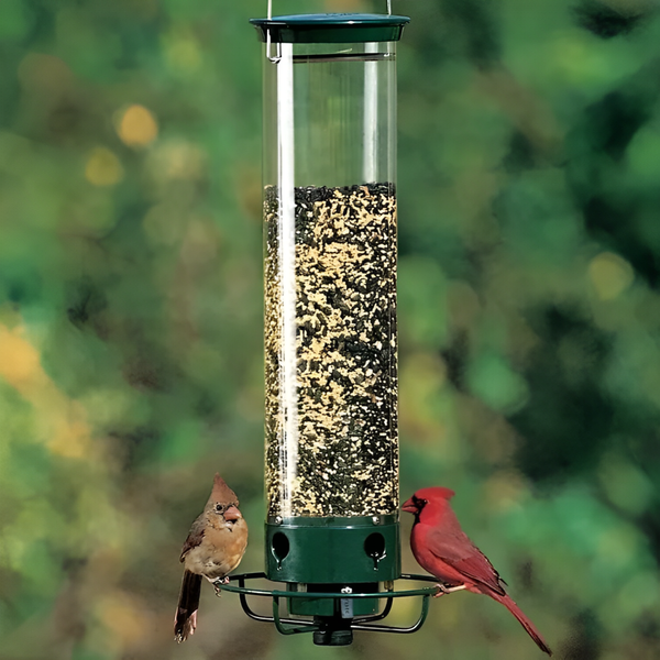 FEEDSAFE – Squirrel Proof Backyard Bird Feeder Station