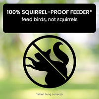 FEEDSAFE – Squirrel Proof Backyard Bird Feeder Station