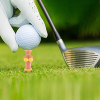 Pinova - Novelty Bikini Golf Tees 5-Pack
