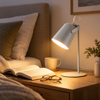 LUMECRAFT – Adjustable Desk Lamp for Refined Focused Light