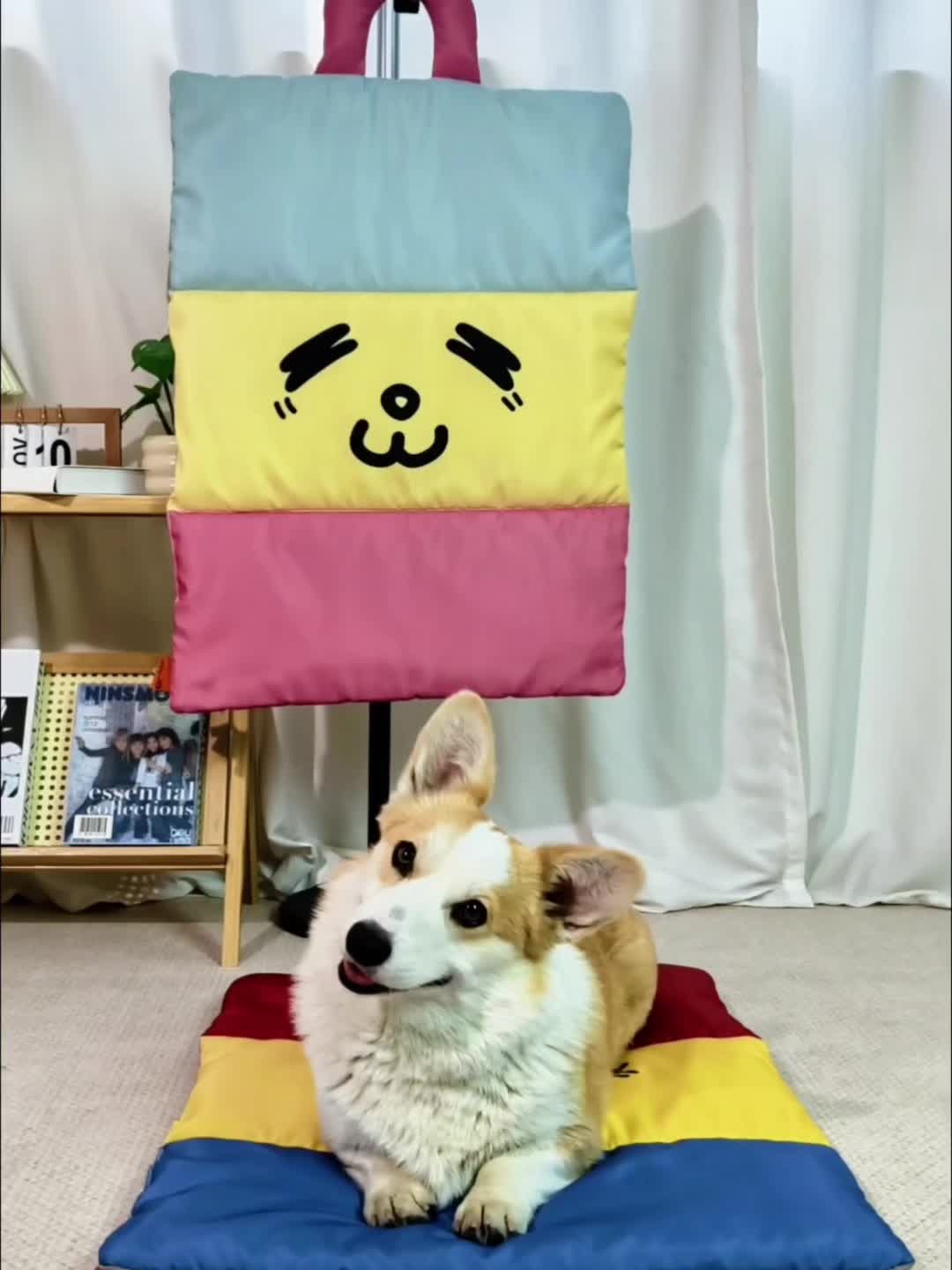 PETCHILL – Reversible Cooling Pet Mat