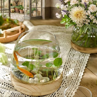 ZENORA – Glass Vase for Statement Greenery and Serene Interiors