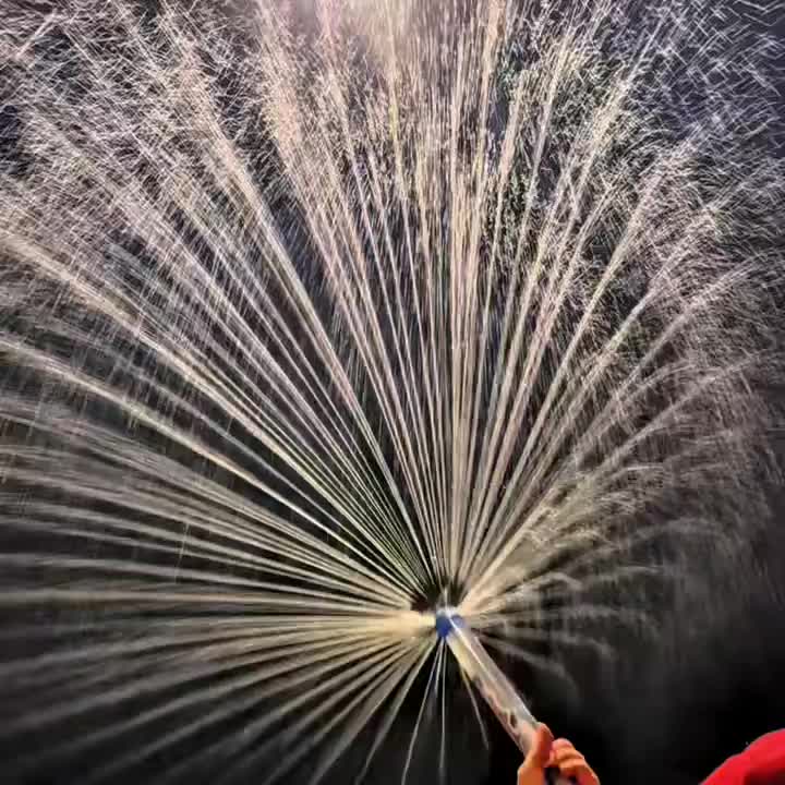 SPLASHBLAST – Long Handle Water Blasters