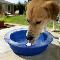 PETGLACIER – Refreshing Cooling Bowl for Everyday Pet Hydra