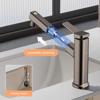 FLEXORA - Pull-Out Three-Mode Sink Faucet