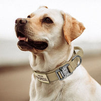 FLEXK9 – Tactical Dog Collar Set – Adjustable padded control collar