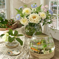 ZENORA – Glass Vase for Statement Greenery and Serene Interiors