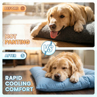 COZYPAWS – Cooling Sofa Pet Bed