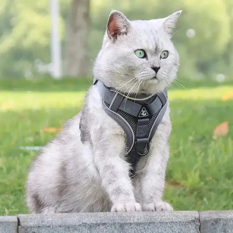 CATSECURE – Y-Shaped Cat Harness