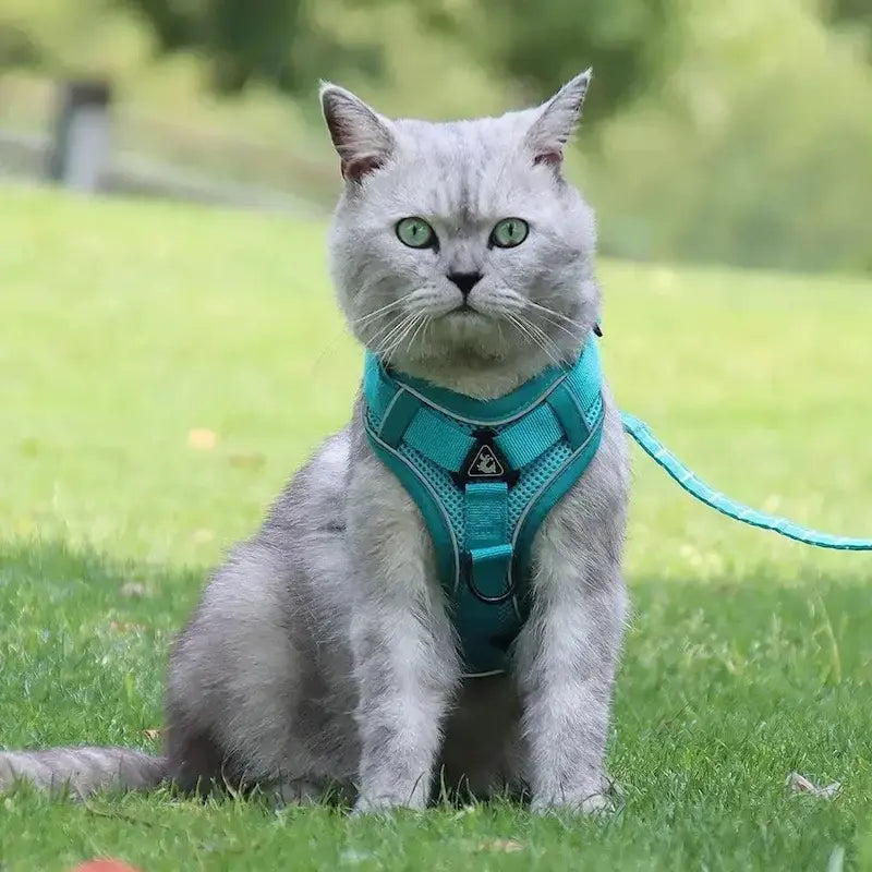CATSECURE – Y-Shaped Cat Harness