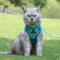 CATSECURE – Y-Shaped Cat Harness