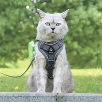 CATSECURE – Y-Shaped Cat Harness
