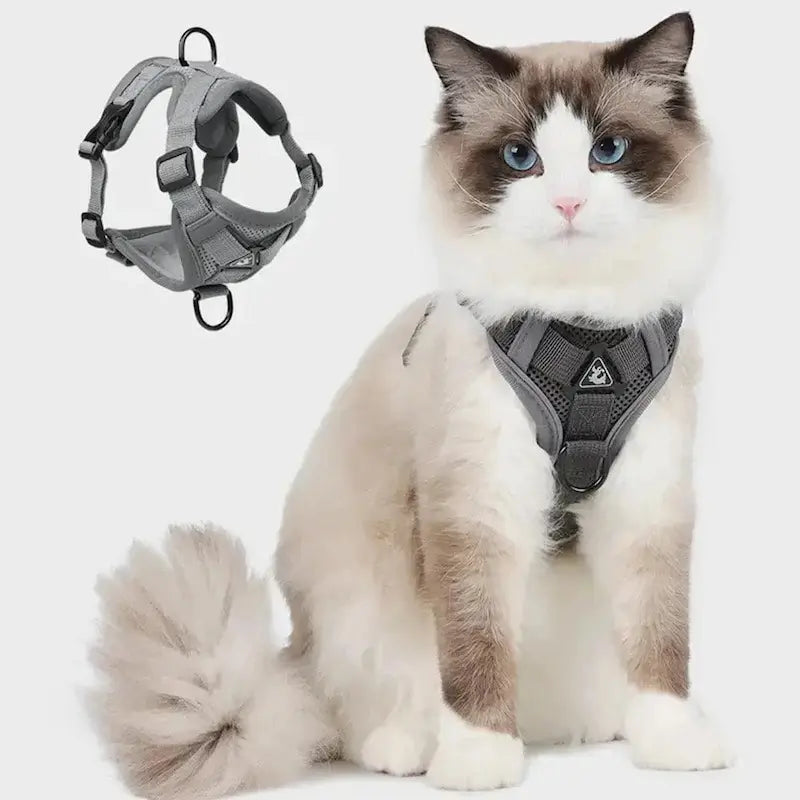 CATSECURE – Y-Shaped Cat Harness