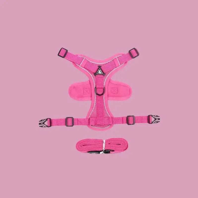 CATSECURE – Y-Shaped Cat Harness