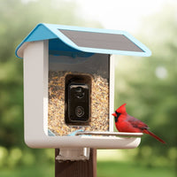 WINGWATCH – Smart Bird Feeder Camera for Everyday Birdwatching