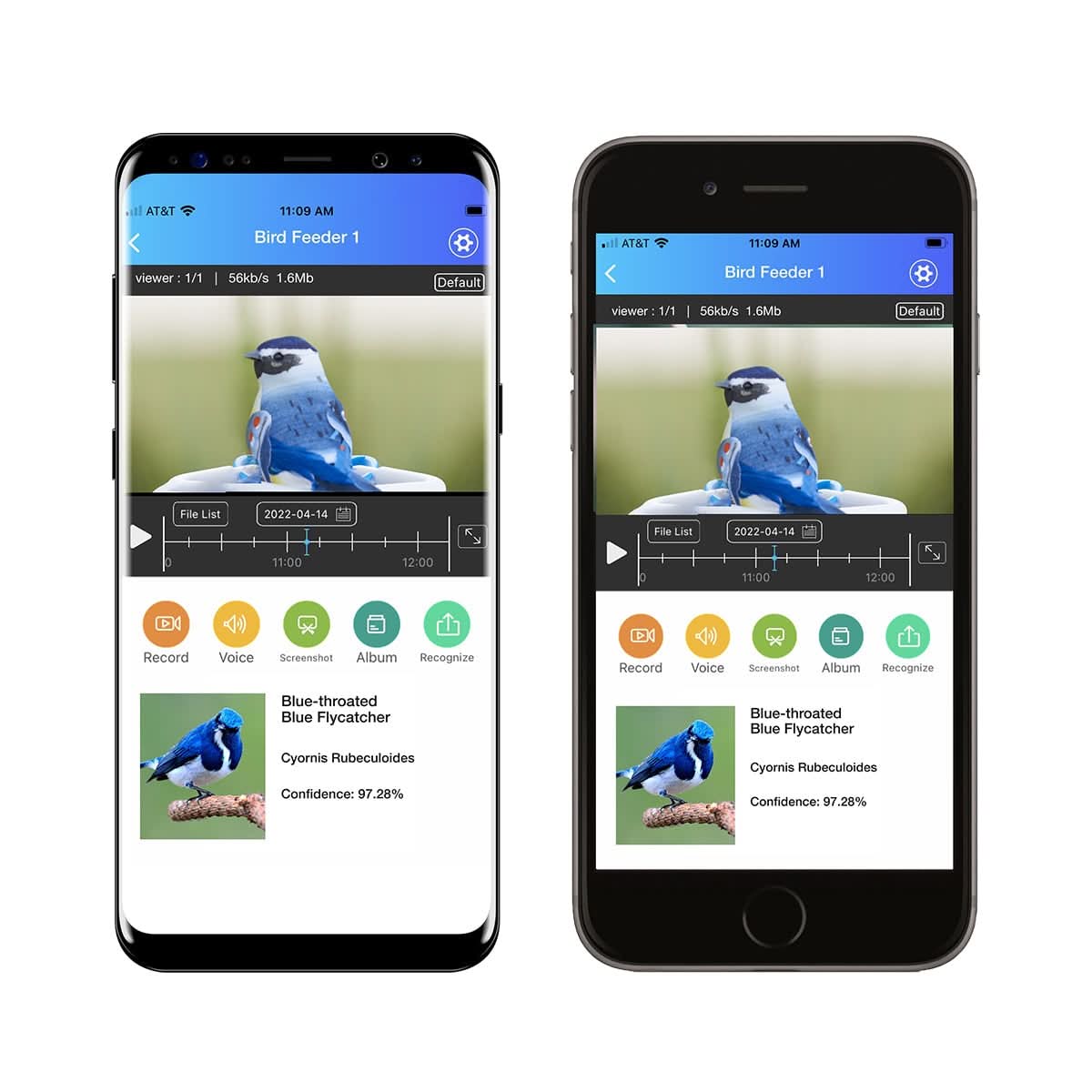 WINGWATCH – Smart Bird Feeder Camera for Everyday Birdwatching
