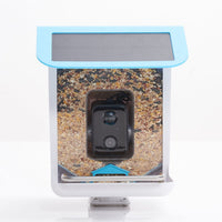 WINGWATCH – Smart Bird Feeder Camera for Everyday Birdwatching